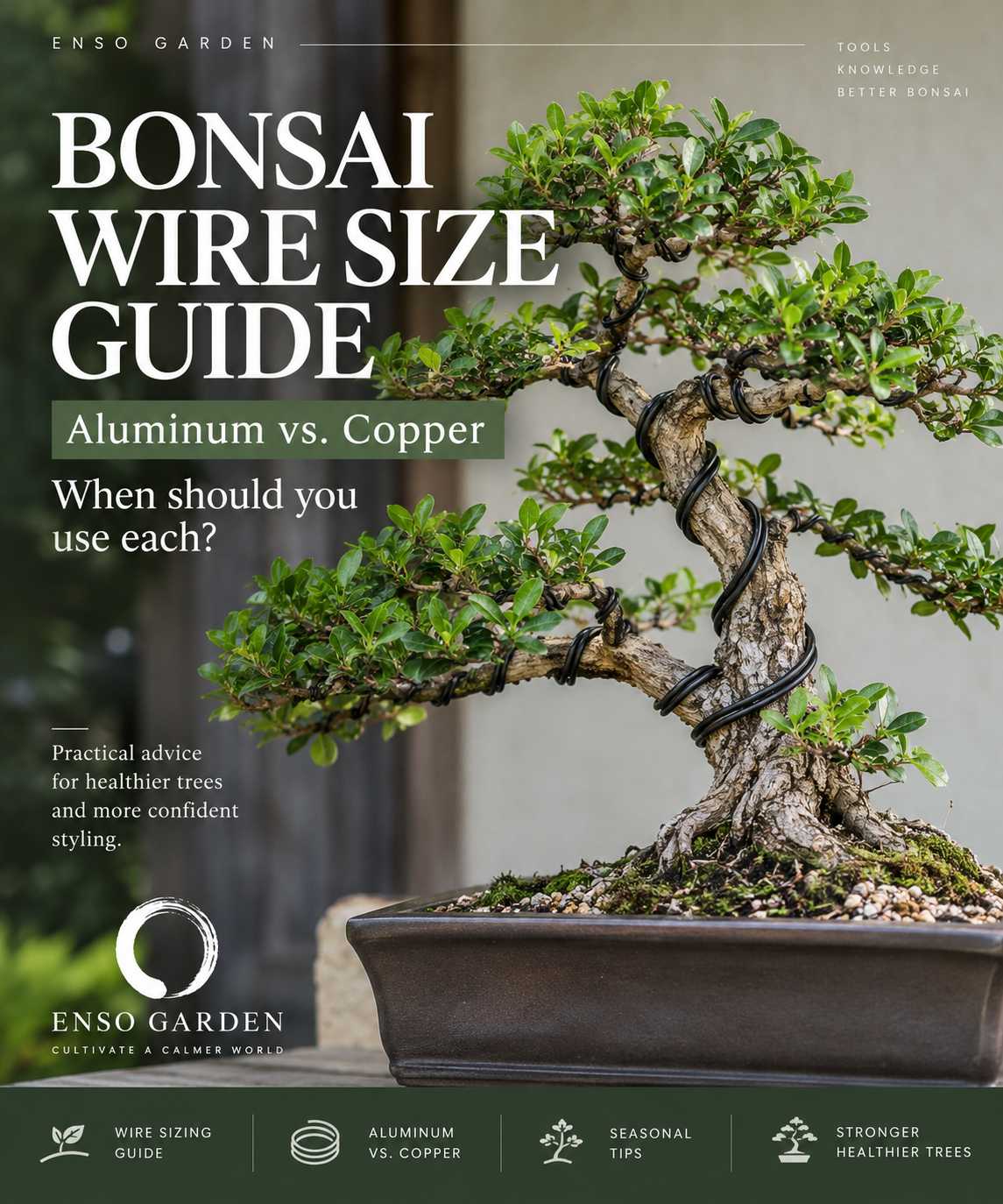 Wired bonsai tree with Enso Garden Bonsai Wire Size Guide, aluminum vs copper