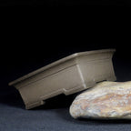 Gray rectangular bonsai pot tilted on a stone, showing side profile