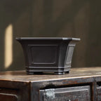 Dark square bonsai pot with flared rim, framed panels and banded base
