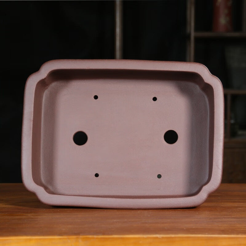 Interior of the reddish-brown pot showing two drainage holes and four smaller openings