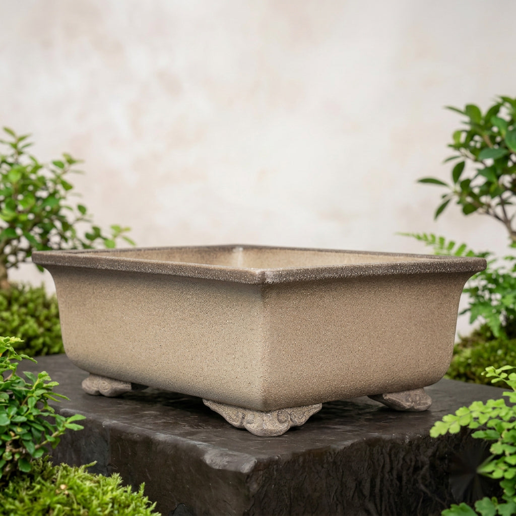 Taupe rectangular bonsai pot with broad rim and curled corner feet on stone