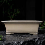 Taupe rectangular pot with wide flared rim and low block feet
