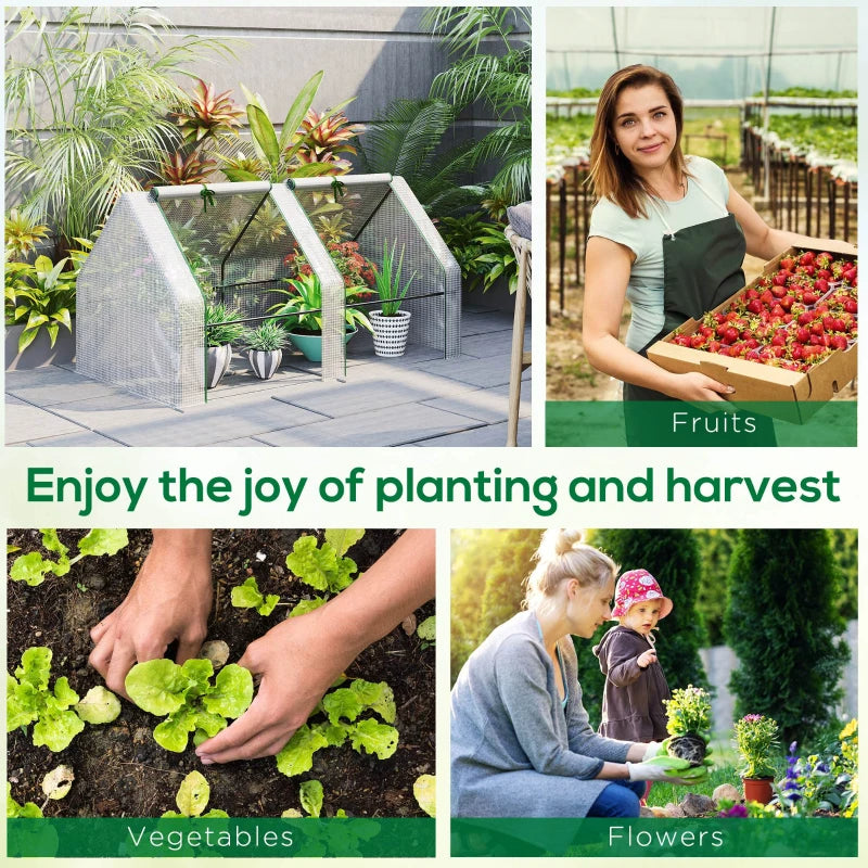 Supplier garden examples for white PE mini greenhouse