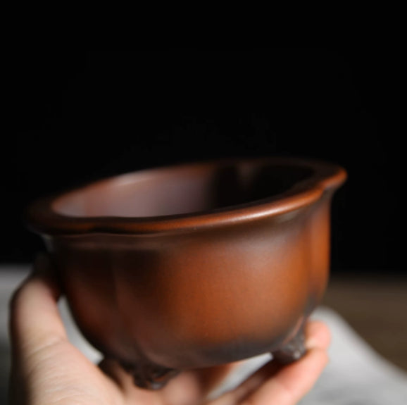 Hand holding small amber-brown lobed bonsai pot with dark accents