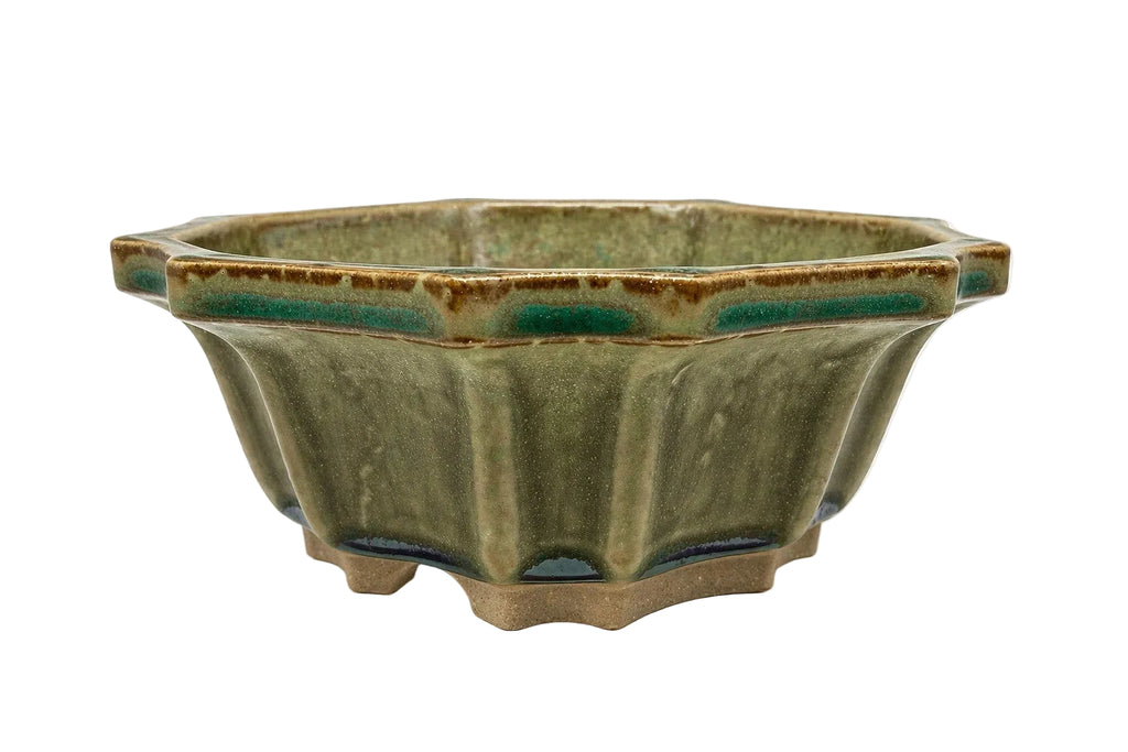 Olive-green glazed flower-shaped bonsai pot with fluted walls and a scalloped rim