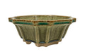 Olive-green glazed flower-shaped bonsai pot with fluted walls and a scalloped rim