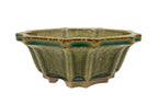 Olive-green glazed flower-shaped bonsai pot with fluted walls and a scalloped rim