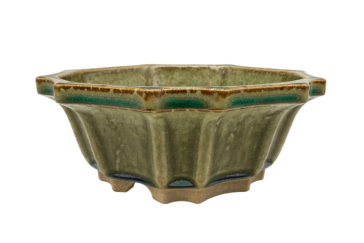Olive-green glazed flower-shaped bonsai pot with fluted walls and a scalloped rim