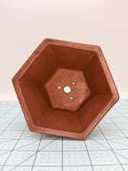 Top view inside the hexagonal pot showing a central drainage hole and three smaller openings