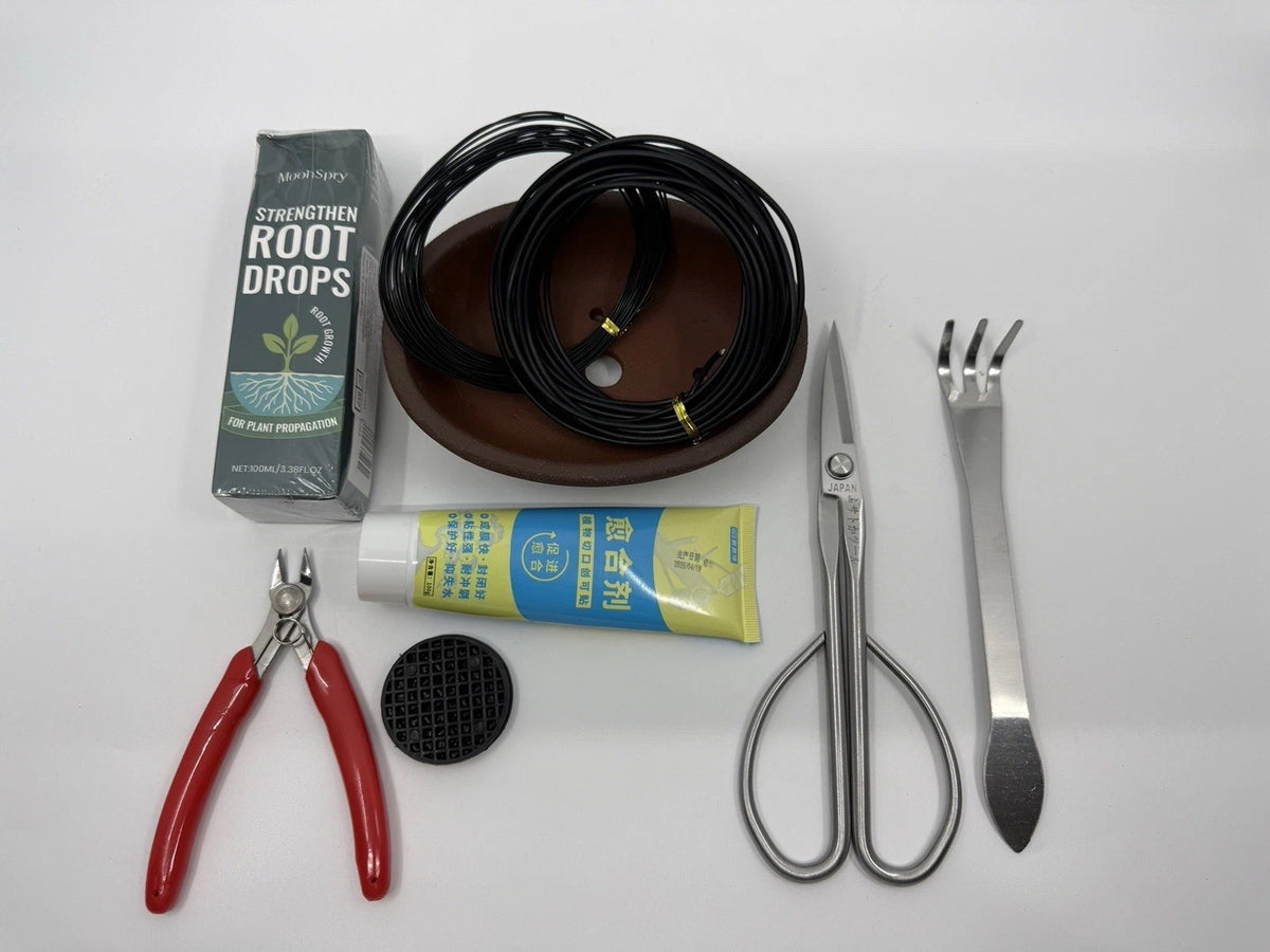 Overhead view of the starter kit showing a brown pot, tools, wire, mesh disc and packaged supplies