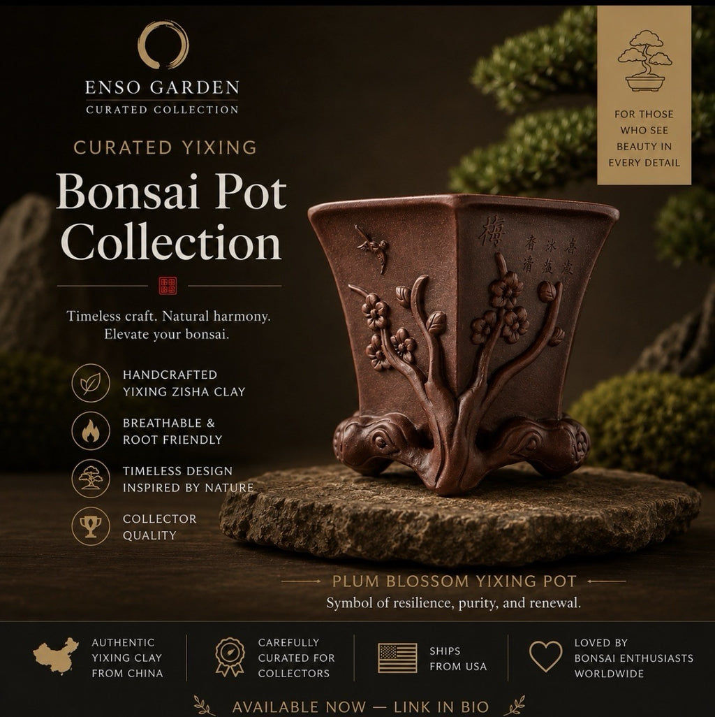 Enso Garden Bonsai Pot Collection promotional graphic featuring a tall hexagonal flowering-branch pot