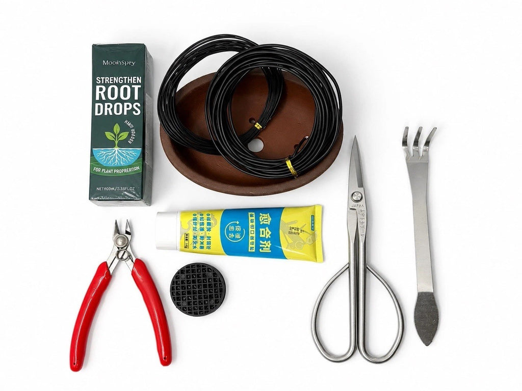 Bonsai starter kit with brown oval pot, wire coils, silver scissors, rake, red-handled cutters and packaged supplies