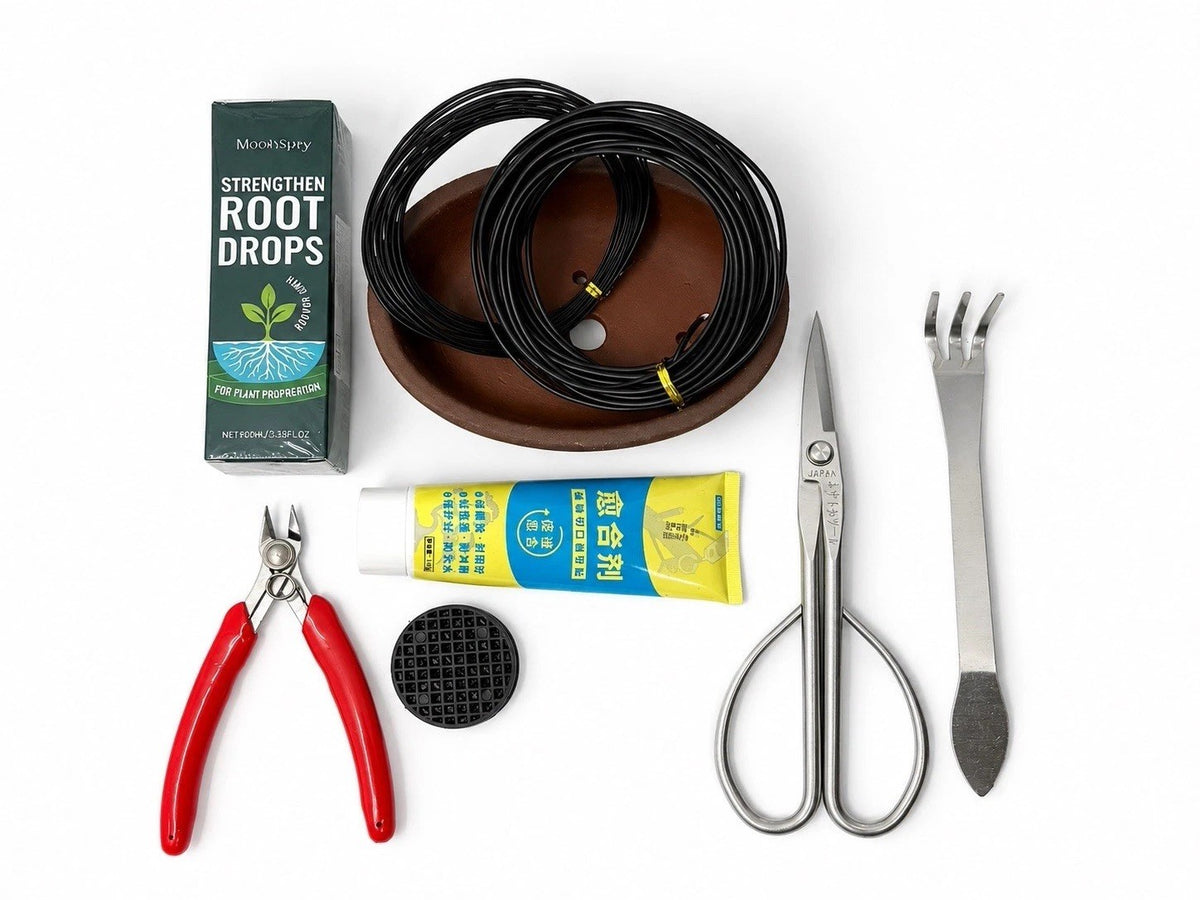 Bonsai starter kit with brown oval pot, wire coils, silver scissors, rake, red-handled cutters and packaged supplies