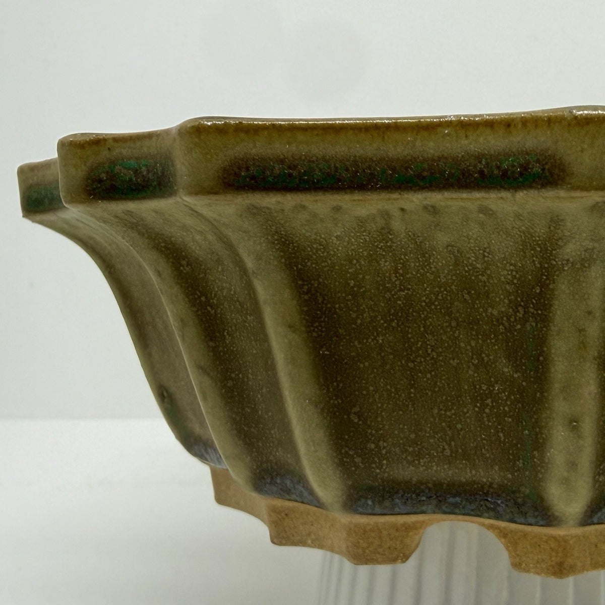 Close-up of the olive-green pot's fluted wall and darker green rim accents