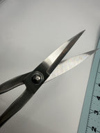 Close-up of the open scissors showing the pointed blades and cutting edges