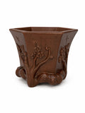 Tall brown hexagonal bonsai pot with raised flowering branches and curled decorative feet