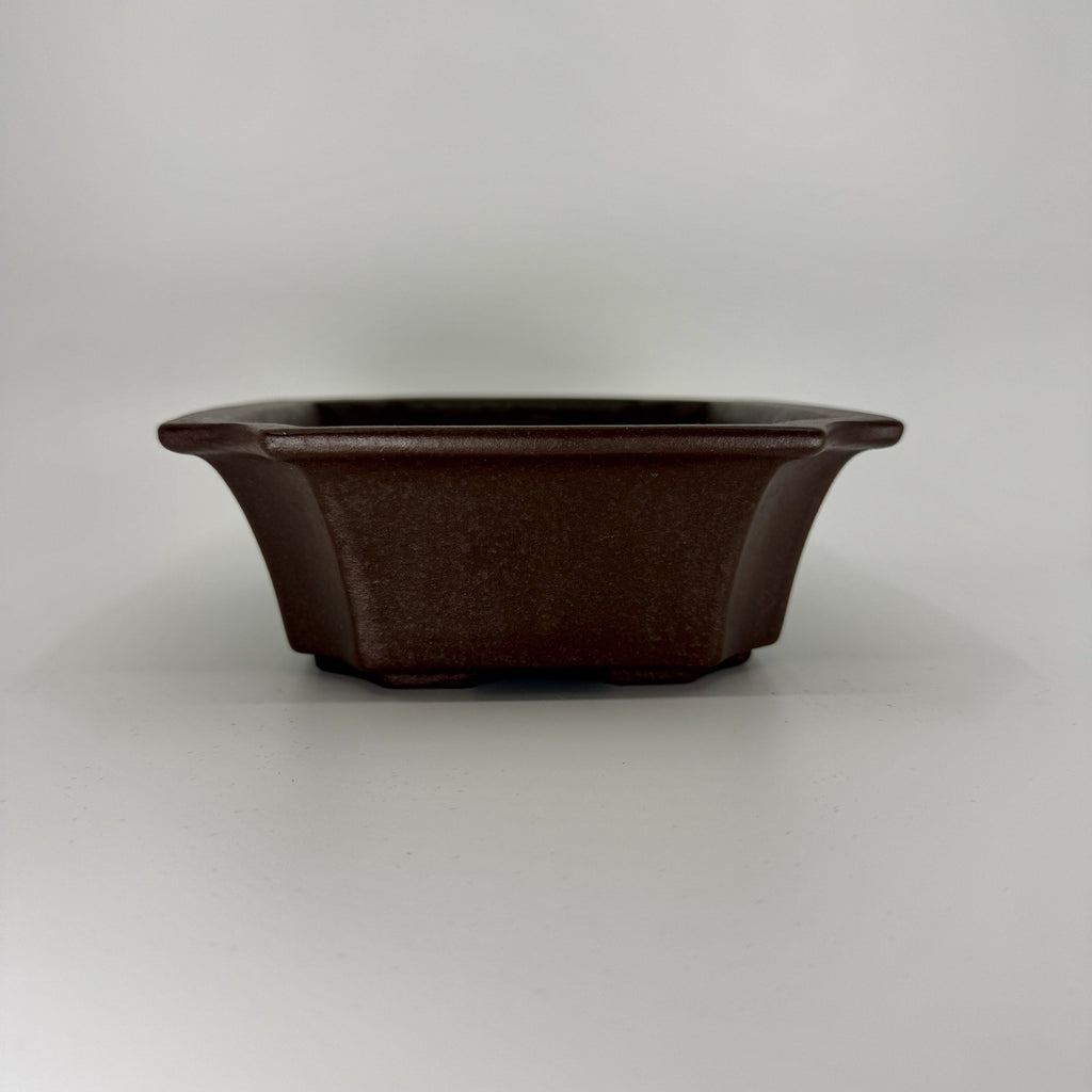 Low front view of the dark brown rectangular pot with outward-flaring sides