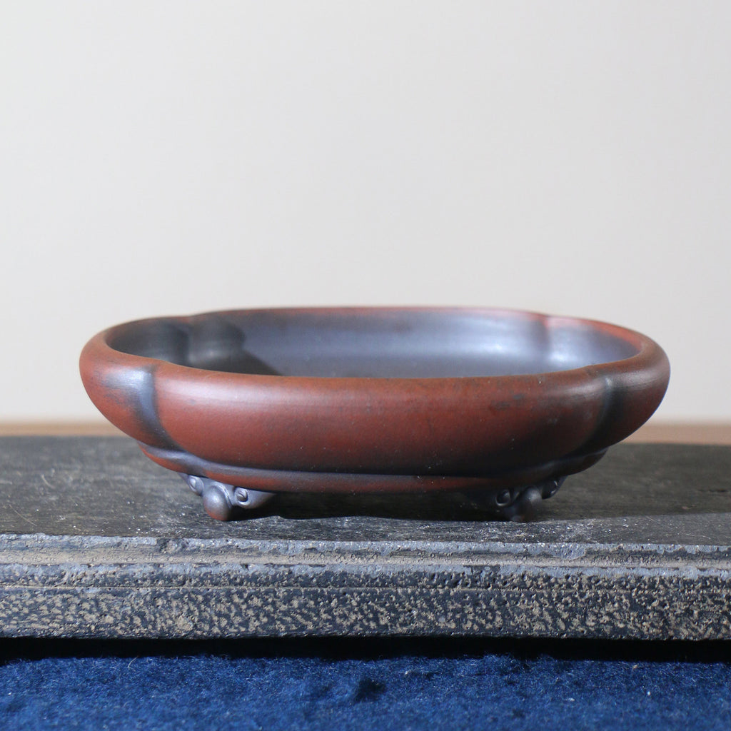 Side view of red-brown lobed bonsai pot on decorative feet