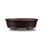 Brown oval bonsai pot on white background