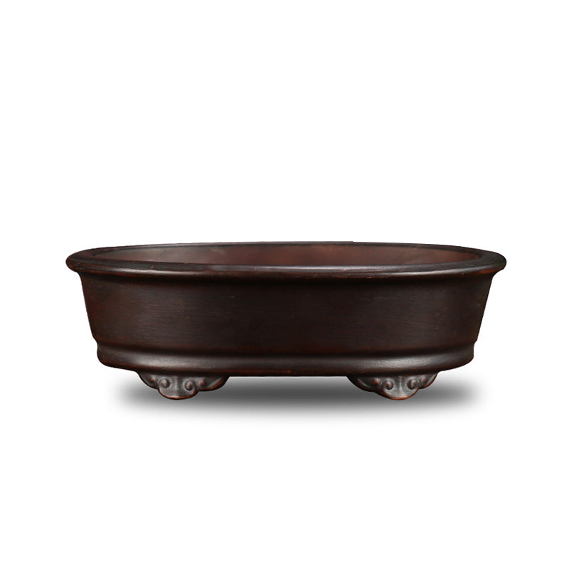 Brown oval bonsai pot on white background