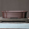 Purple-brown scalloped bonsai pot side view