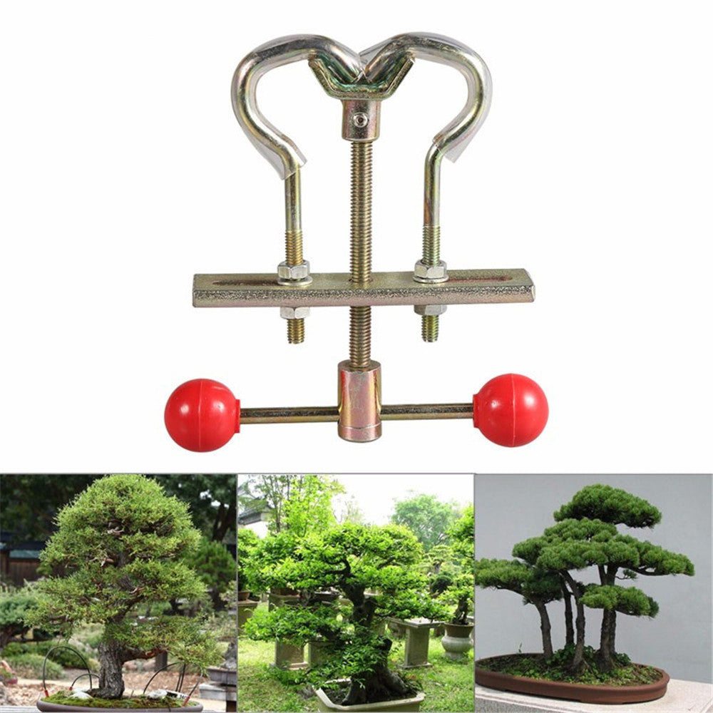 Adjustable metal branch bender with red ball-ended handle above bonsai display examples
