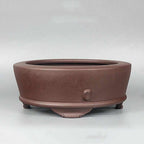 Brown round purple-clay bonsai pot, side view