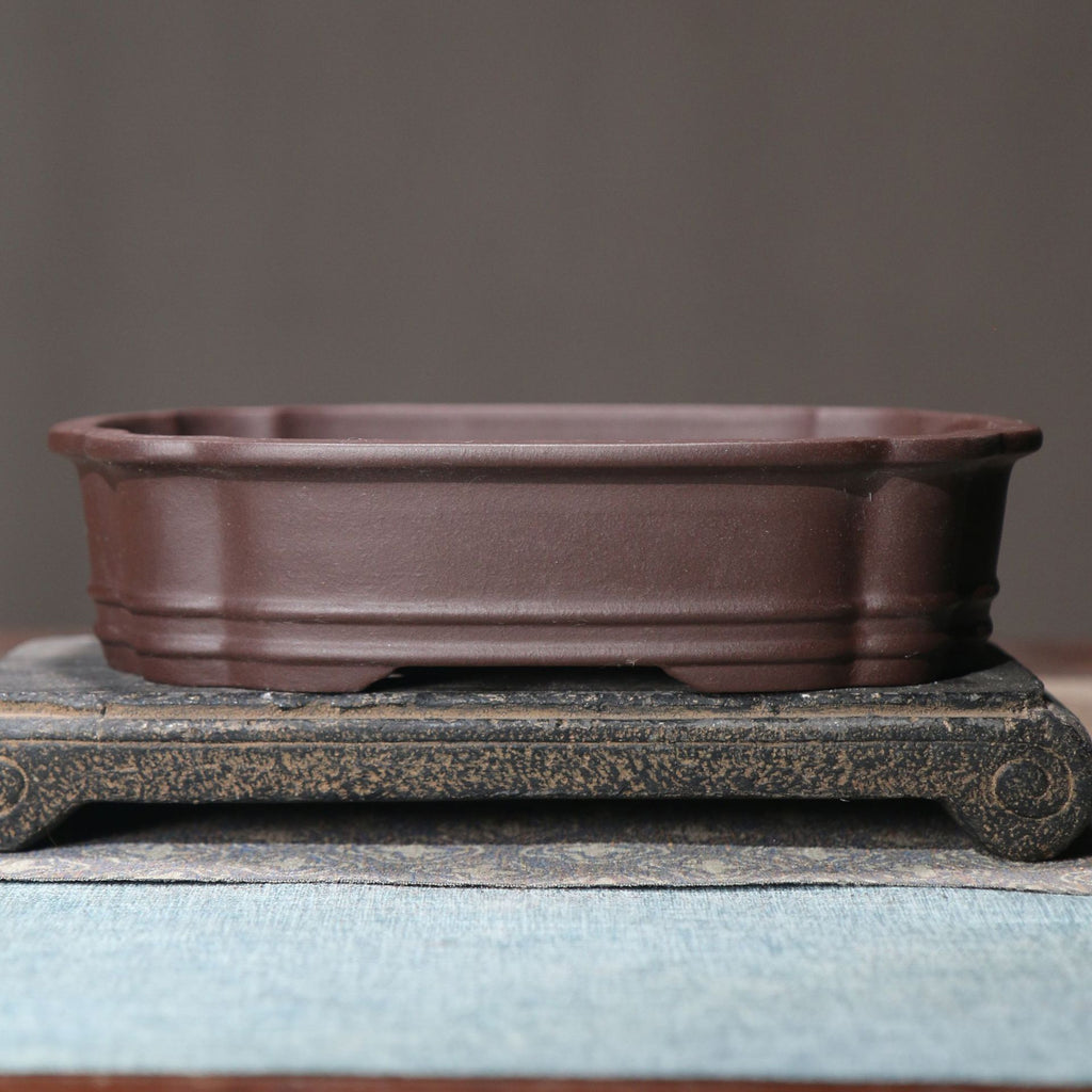 Purple clay bonsai pot with low feet on a display slab