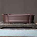 Purple clay bonsai pot with low feet on a display slab