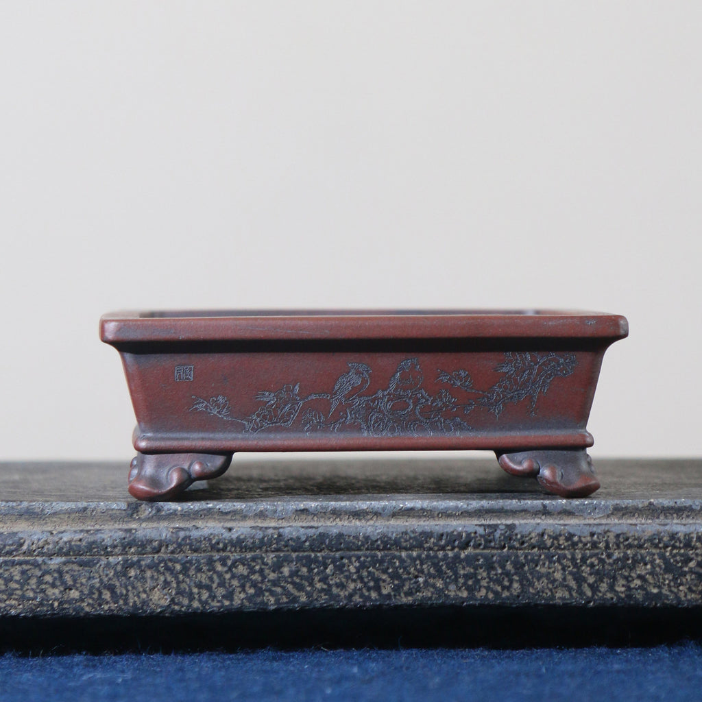 5.1" Rectangular Yixing Zisha Clay Pot – Birds & Flowers – source gallery photo 7; verify variant before publishing