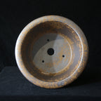 Top view of scale-textured bonsai pot showing one large opening and smaller holes