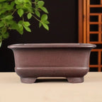 Brown square bonsai pot with flared rim and rounded lower corners
