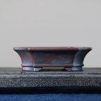 Dark-brown mokko Yixing bonsai pot, side view