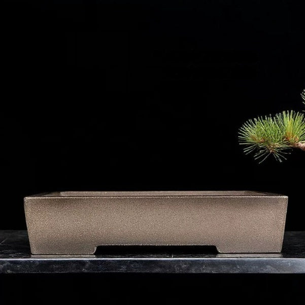 Taupe rectangular bonsai pot on stone beside a pine branch
