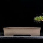 Taupe rectangular bonsai pot on stone beside a pine branch