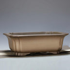 Taupe rectangular bonsai pot with rounded corners and flared rim