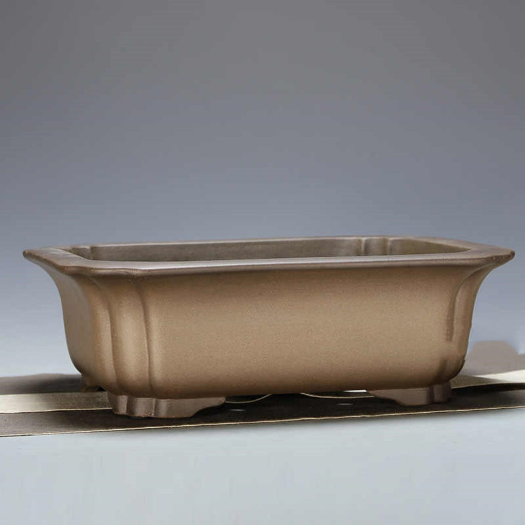 Taupe rectangular bonsai pot with rounded corners and flared rim