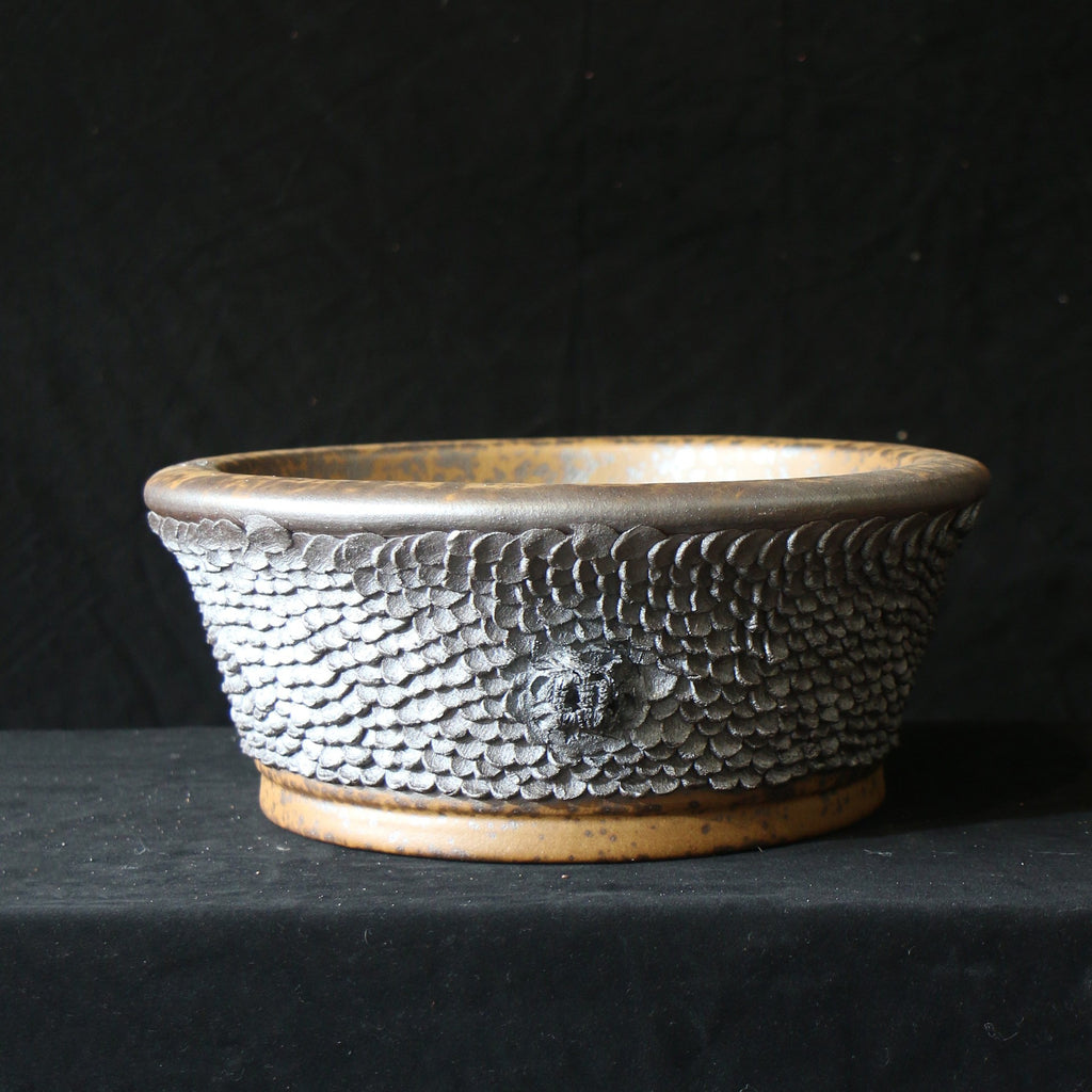 Front view of silver-gray scale-textured bonsai pot with amber rim