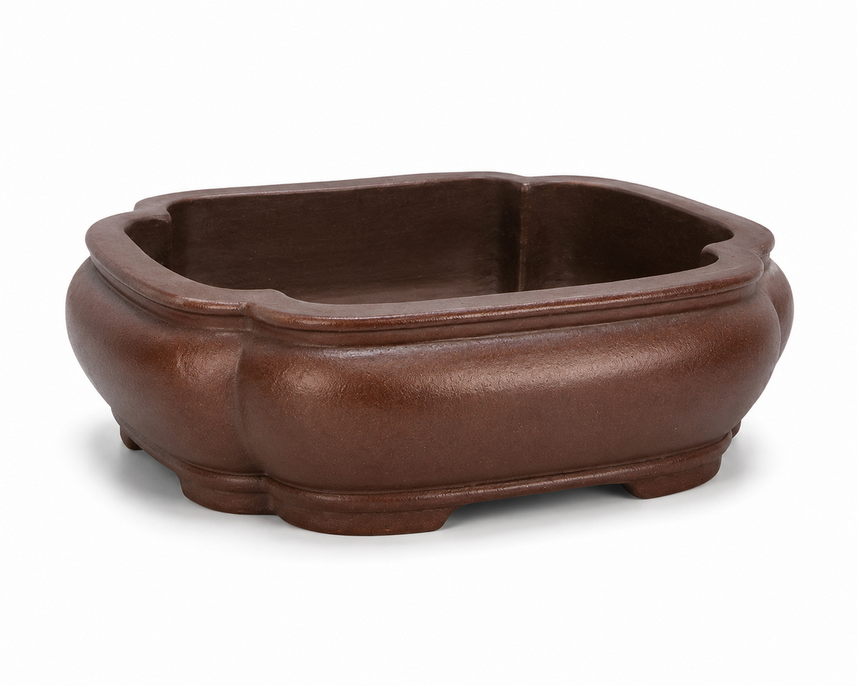 Brown mokko bonsai pot with softly lobed rim, rounded walls and low feet