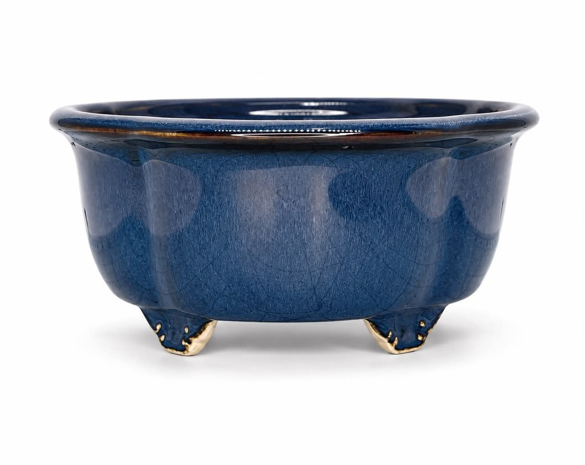Dark blue-glazed lobed oval bonsai pot with dark rim accents and decorative feet