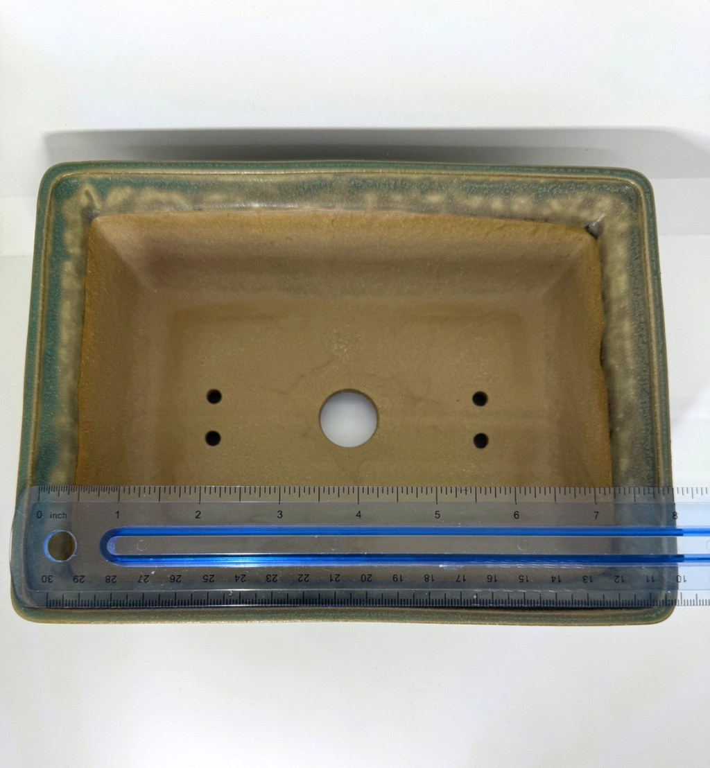 Ruler across the olive-green rectangular pot's pale interior and drainage openings
