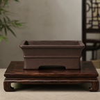 Dark brown rectangular bonsai pot displayed on a carved wooden stand
