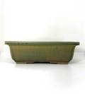 Olive-green rectangular bonsai pot with flared rim, straight walls and low feet