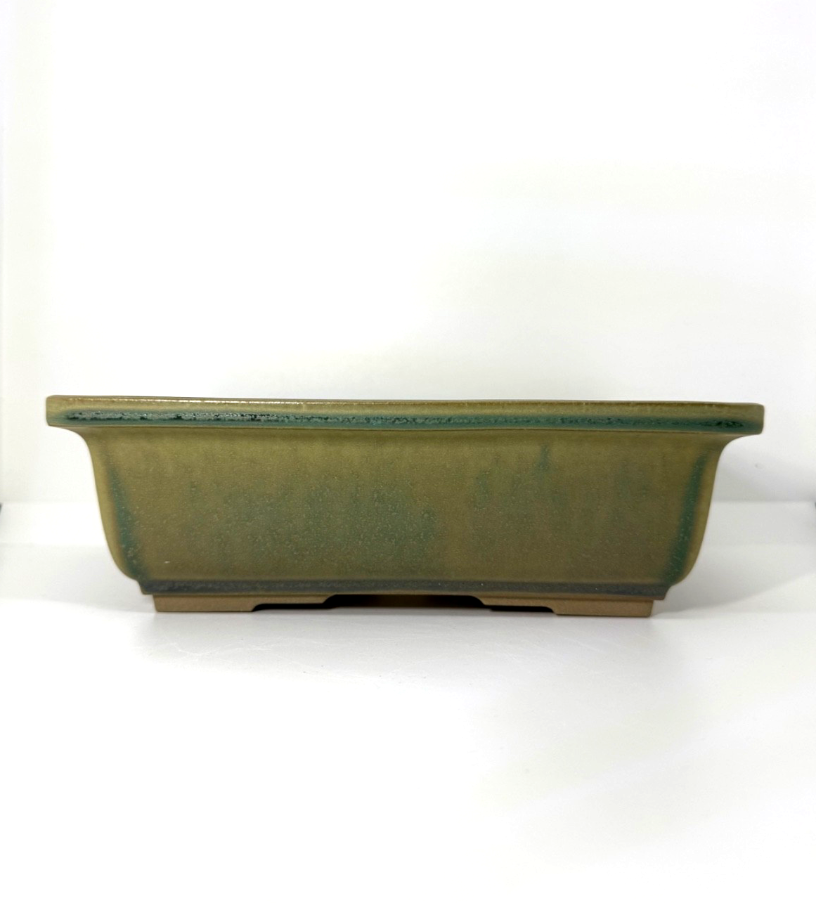 Olive-green rectangular bonsai pot with flared rim, straight walls and low feet