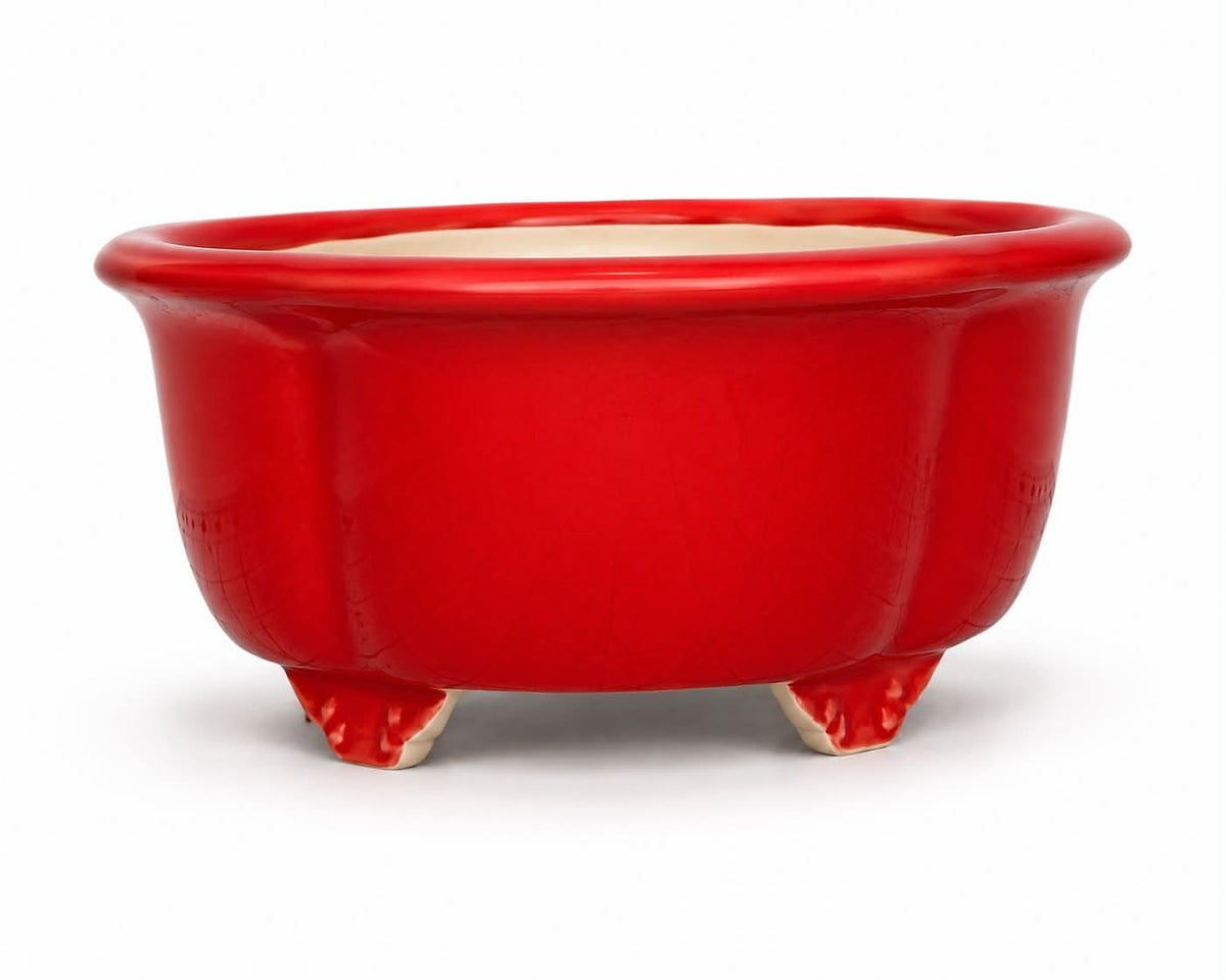 Red-glazed lobed oval bonsai pot with flared rim and decorative feet