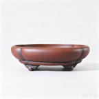 Red-brown lobed bonsai pot with curled feet against a white background