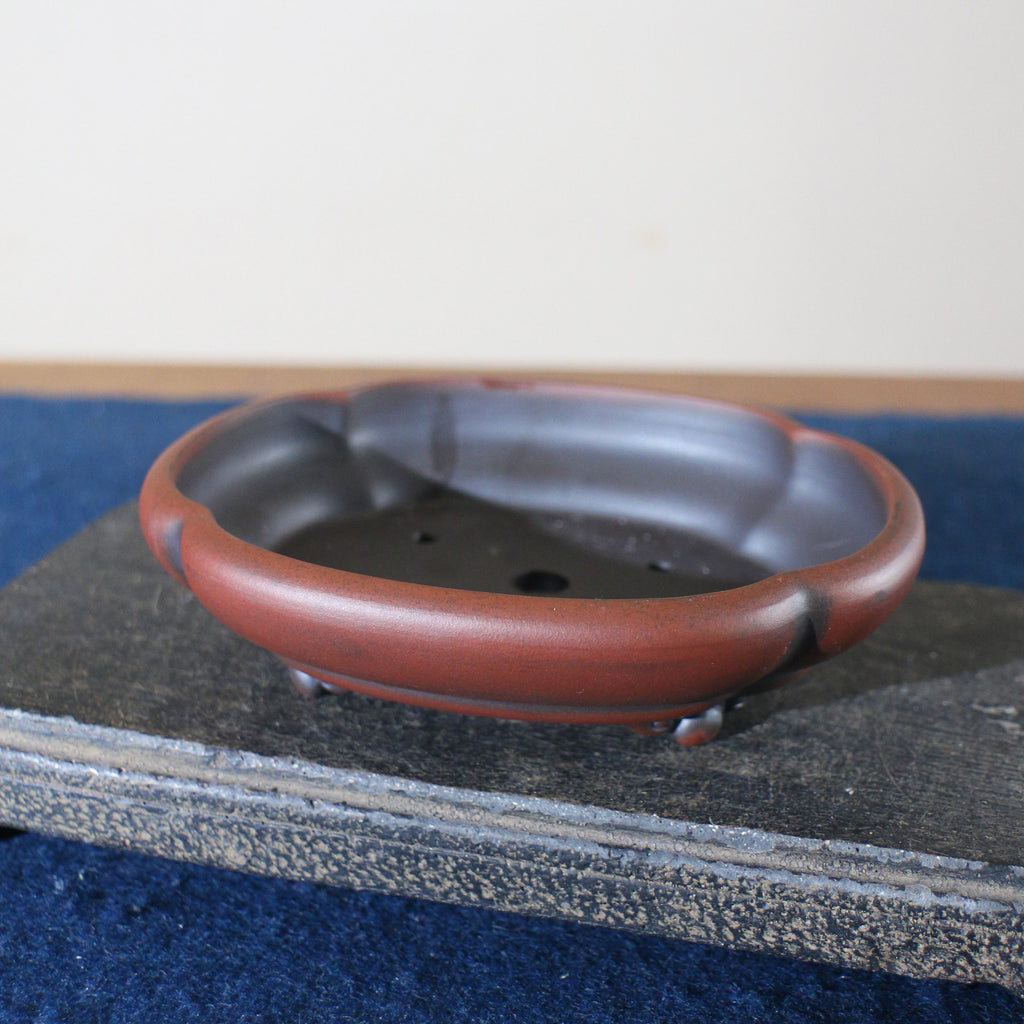 Angled view of lobed red-brown bonsai pot showing dark interior