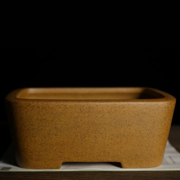 Ochre-glazed rectangular bonsai pot with rounded corners and low cutout feet