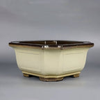 Cream-glazed square bonsai pot with chamfered corners, dark rim and recessed panels