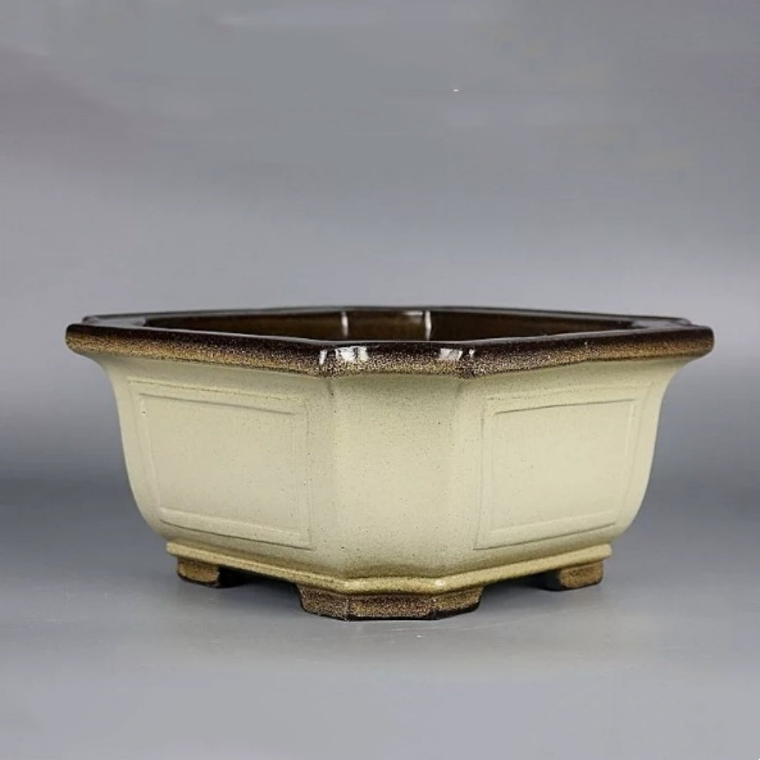 Cream-glazed square bonsai pot with chamfered corners, dark rim and recessed panels